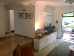 Tanglin Park (D10), Condominium #577225441